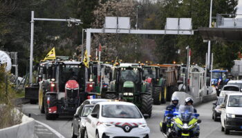 Blocages des agriculteurs, en direct : quelles actions cette semaine ? Le Parlement européen dans le viseur