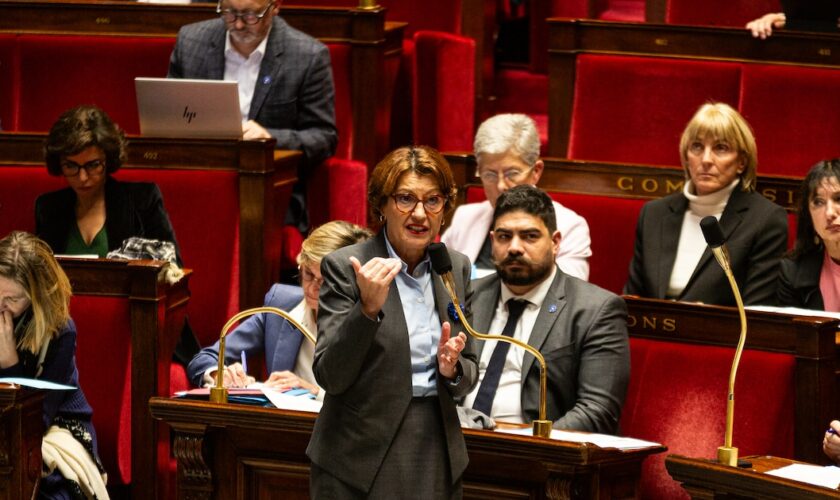 La ministre de l'Agriculture Annie Genevard s'exprime à l'Assemblée nationale le 12 novembre 2024.