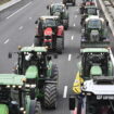 Blocages des agriculteurs, en direct : de nouvelles actions jusqu'à jeudi, les tracteurs sont arrivés à Strasbourg