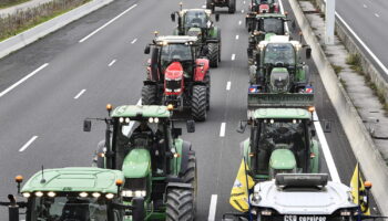 Blocages des agriculteurs, en direct : de nouvelles actions jusqu'à jeudi, les tracteurs sont arrivés à Strasbourg