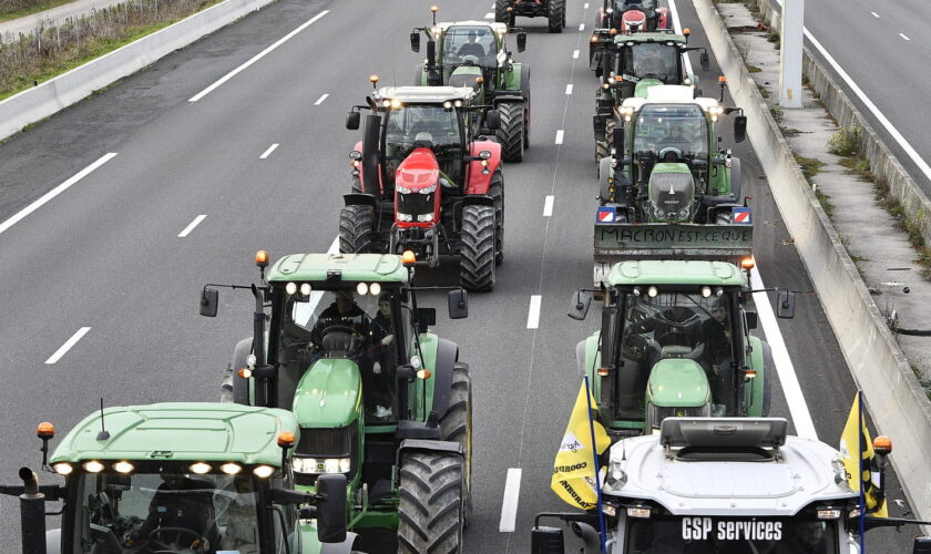 Blocages des agriculteurs, en direct : de nouvelles actions jusqu'à jeudi, les tracteurs sont arrivés à Strasbourg