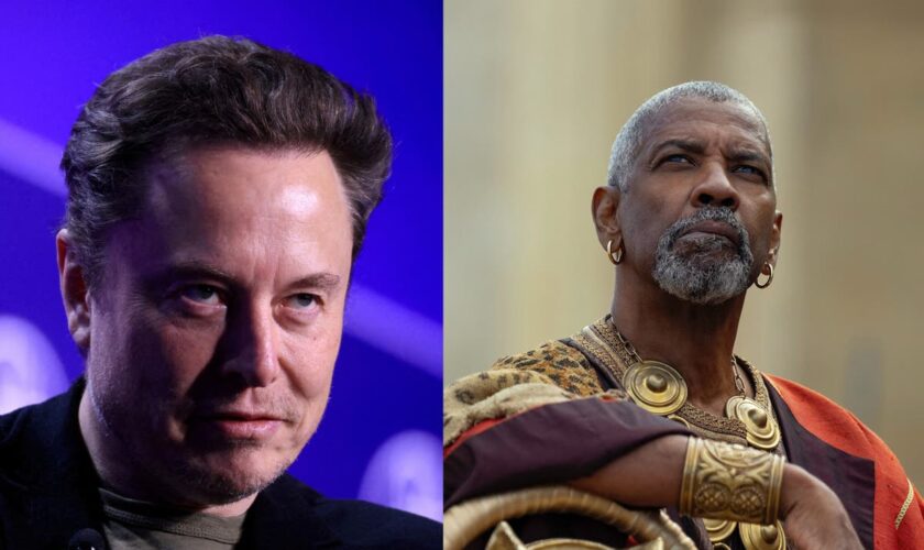 Elon Musk ridiculed after branding Gladiator 2 ‘woke’