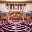 Le budget de la Sécu largement adopté au Sénat, malgré l’abstention des macronistes