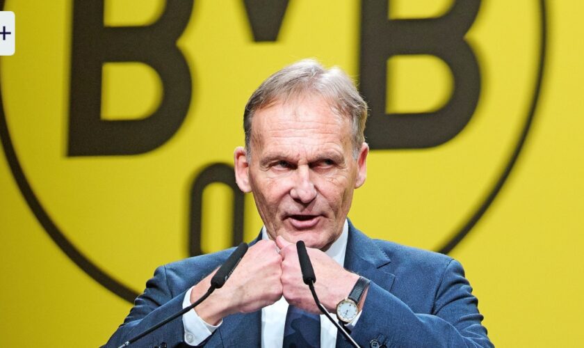 BVB und Rheinmetall: „Dieses Sponsoring spaltet uns“