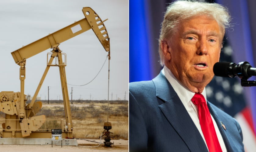 Expert touts Trump's energy sector nominations, outlines hopes for administration agenda to spark energy boom