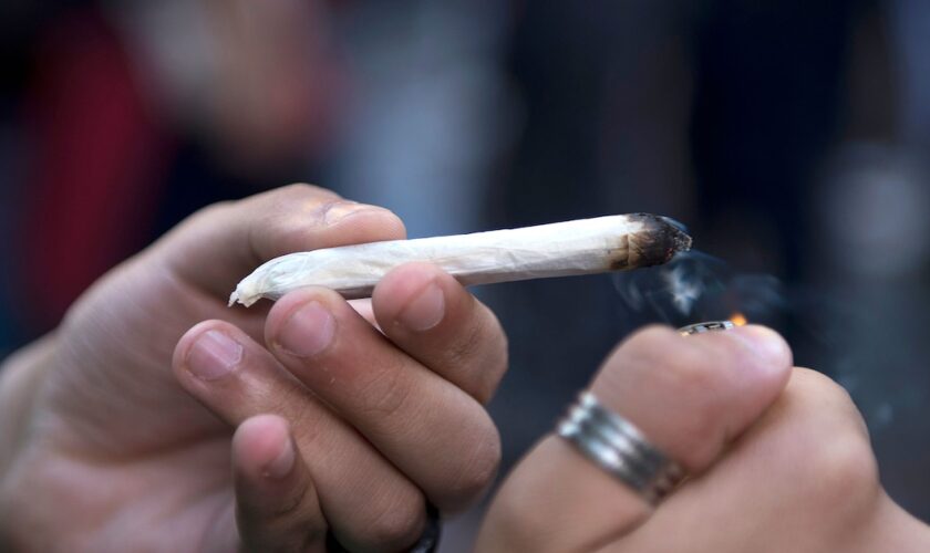 Trois élèves âgés de 16 à 17 ans ont été interpellés dans leur lycée à Rochefort (Charente-Maritime), pour détention et vente de cannabis, a-t-on appris vendredi de sources concordantes.