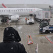 A l’aéroport Charles de Gaulle, une touriste recherche sa chienne disparue sur le tarmac depuis une semaine, un «dispositif exceptionnel» déployé par Air France