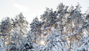 La météo de décembre, janvier et février se précise : des détails sur le froid et la pluie