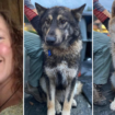 Search for missing Oregon hiker and her dogs suspended over 'weather conditions, likelihood of survivability'