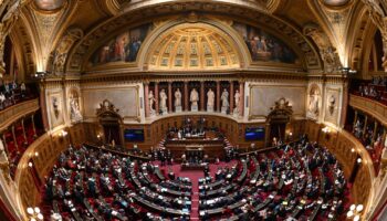 Mercosur : Après l’Assemblée, le Sénat s’oppose à son tour au traité de libre-échange avec l’Amérique du Sud