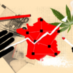 Selon le dernier rapport de l’Observatoire français des drogues et des tendances addictives (OFDT), publié en juin 2024, les usages de stupéfiants n’ont tout simplement jamais été aussi élevés en France, tous âges et territoires confondus.