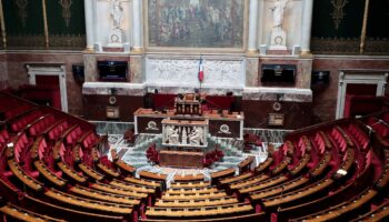 Vue générale de l'hémicycle de l'Assemblée nationale à Paris le 19 mai 2020