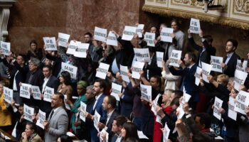 Réforme des retraites : pourquoi l'abrogation ne passera pas malgré 300 députés "pour"