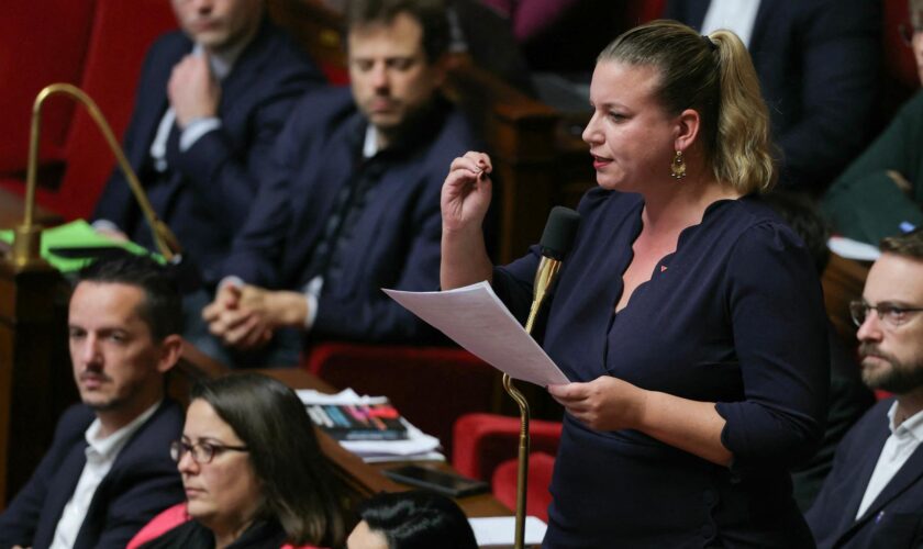 Pour La France insoumise, la journée de niche parlementaire a tourné au pugilat à l’Assemblée - REPORTAGE