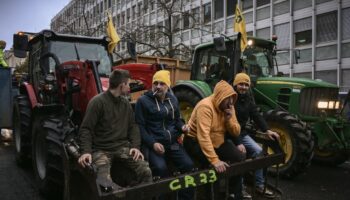 Des membres de la Coordination rurale de Gironde lors d'une mobilisation contre l'accord entre l'UE et le Mercosur, le 19 novembre 2024.