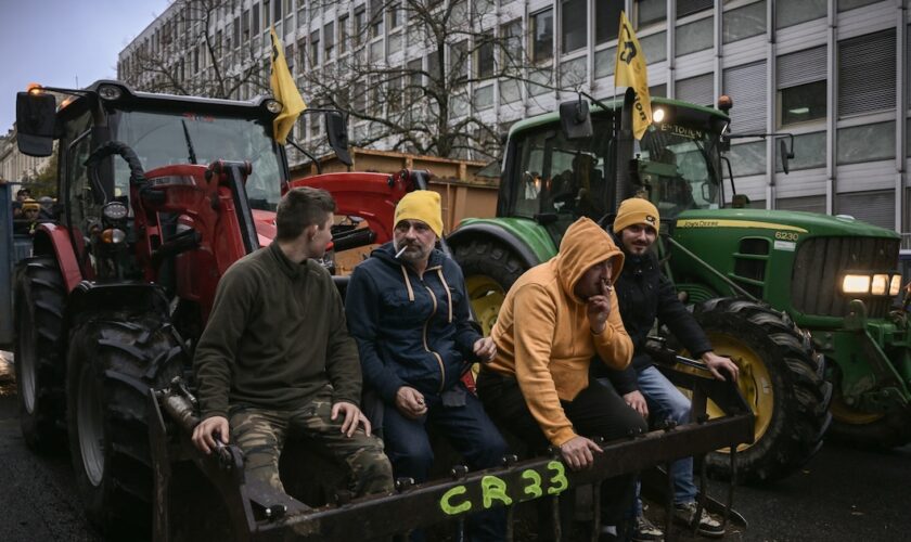 Des membres de la Coordination rurale de Gironde lors d'une mobilisation contre l'accord entre l'UE et le Mercosur, le 19 novembre 2024.