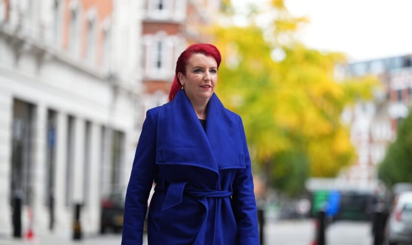 Louise Haigh resigns as transport secretary over stolen phone fraud offence