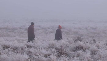 Météo : il va geler dans ces 54 départements, gare au froid ce week-end