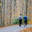 Deutscher Wetterdienst: Herbst in Deutschland erneut zu warm