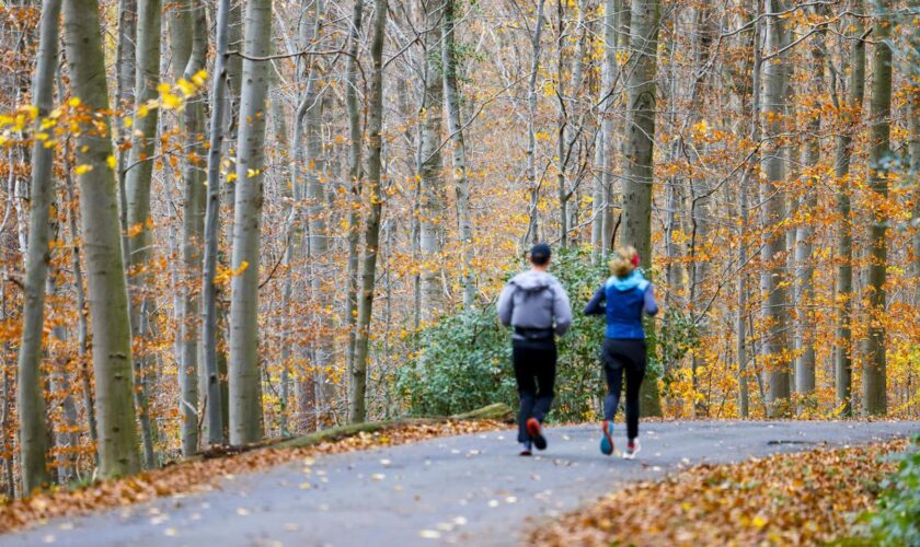 Deutscher Wetterdienst: Herbst in Deutschland erneut zu warm