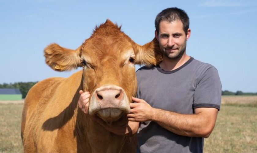 Salon de l’agriculture : Oupette, la vache star de la prochaine édition viendra accompagner de son veau