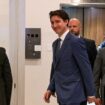 Trudeau makes Friday night visit to Mar-a-Lago to meet Trump after threat of tariffs against Canada