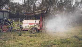 Colère des agriculteurs : pesticides, OFB… Le gouvernement annonce des «simplifications» contre les «boulets» des normes