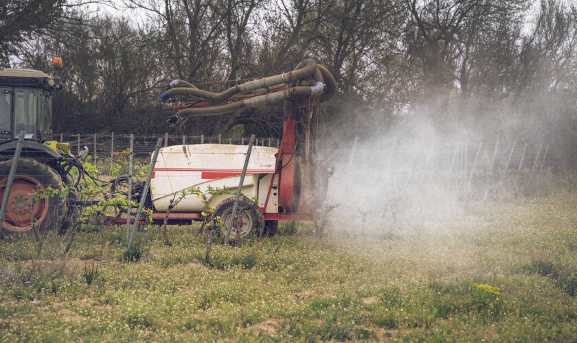 Colère des agriculteurs : pesticides, OFB… Le gouvernement annonce des «simplifications» contre les «boulets» des normes