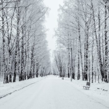 Météo : à cette date, la France entre dans l'hiver météorologique et les changements sont nombreux