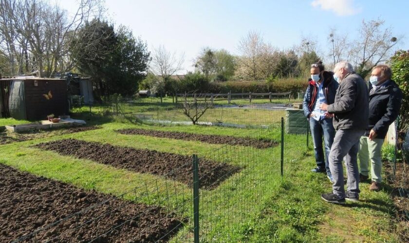 A Fleury-Mérogis, un collège va pousser sur les jardins familiaux