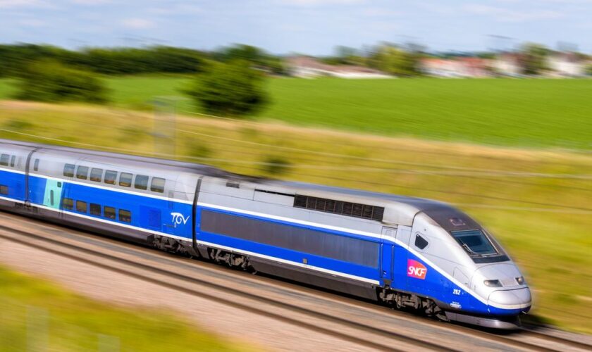 À Lyon, le nouveau «cœur du réacteur» de la ligne TGV Paris-Lyon se met en place