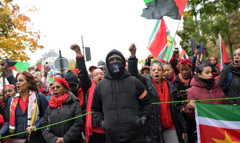 À Paris, des milliers de personnes "vent debout" contre la vie chère en Outre-mer