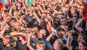 AfD-Erfolge unter jungen Deutschen: Rechtsruck oder nur die halbe Wahrheit? – Podcast