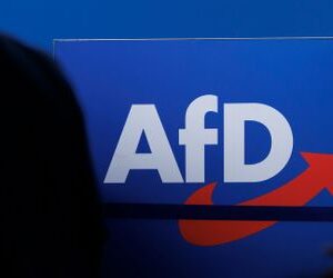 AfD-Verbotsverfahren: Verfassungsrechtler sehen Aussicht auf Erfolg