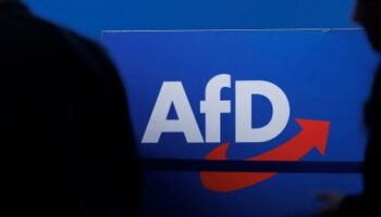 AfD-Verbotsverfahren: Verfassungsrechtler sehen Aussicht auf Erfolg