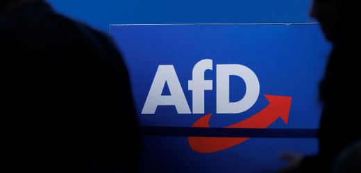 AfD-Verbotsverfahren: Verfassungsrechtler sehen Aussicht auf Erfolg