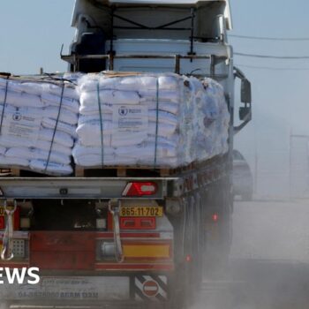 Almost 100 Gaza food aid lorries violently looted, UN agency says