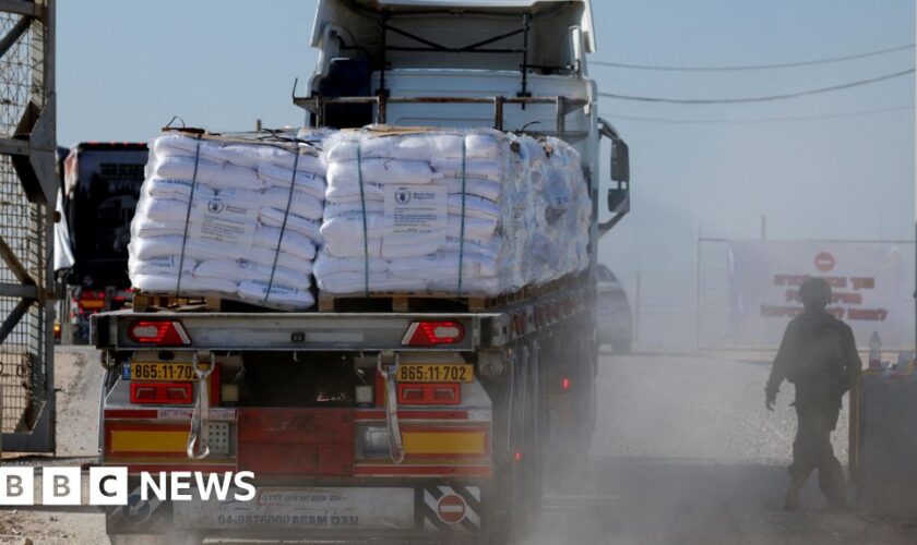 Almost 100 Gaza food aid lorries violently looted, UN agency says