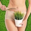 Artificial grass firm's 'no trimming needed' motorway billboard ad is banned for 'demeaning and objectifying' women