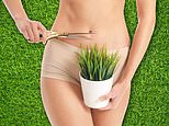 Artificial grass firm's 'no trimming needed' motorway billboard ad is banned for 'demeaning and objectifying' women