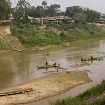 Au Brésil, la déforestation de l'Amazonie atteint son plus bas niveau depuis 2015