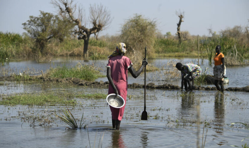 Au Soudan du Sud, les inondations affectent 1,4 million de personnes