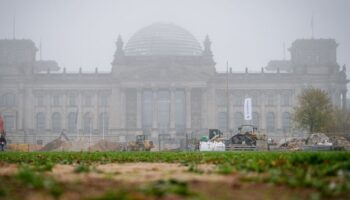 Nach dem Ende der Ampel-Koalition steuert auch Brandenburg auf eine Neuwahl des Bundestags zu (Archivbild). Foto: Kay Nietfeld/d