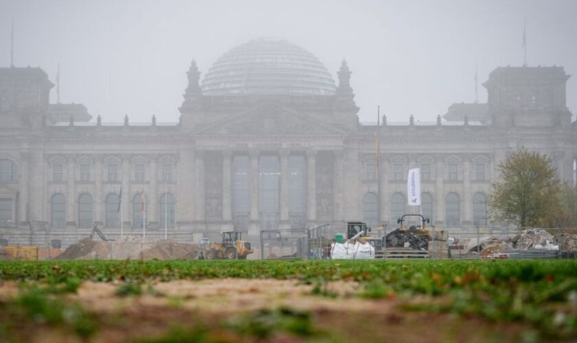 Nach dem Ende der Ampel-Koalition steuert auch Brandenburg auf eine Neuwahl des Bundestags zu (Archivbild). Foto: Kay Nietfeld/d