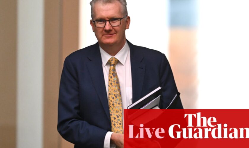 Australia politics live: Labor lines up trio of immigration bills dubbed ‘cruelty package’ by activists; Assange supporters push for pardon