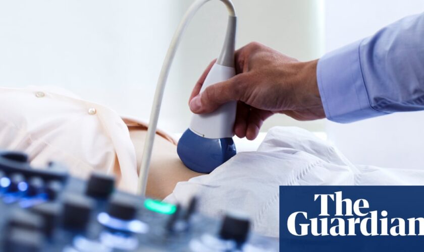 Australian private hospitals say government review shows sector isn’t profitable as it struggles to ‘keep surgery doors open’