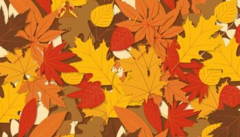 Autumnal brain teaser challenges you to find animals sneakily hidden among leaves