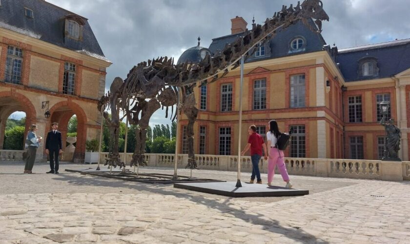 Bientôt l’heure de vérité pour Vulcain, le dinosaure géant vendu aux enchères à Dampierre-en-Yvelines