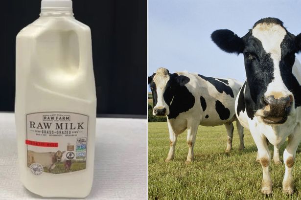 Bird flu virus found in California supermarket milk sparking huge product recall