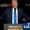 Bitcoin price tops $81,000 for first time amid ‘Trump pump’